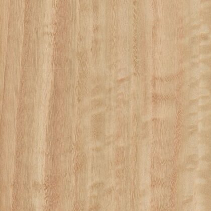 Eucalyptus - placage bois Quartier
