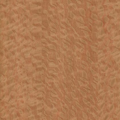 Lacewood grandes mailles - placage bois Quartier