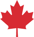 Red maple leaf